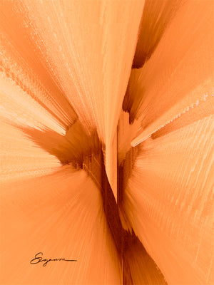 a close up of a flower with water droplets on it