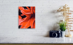 a picture of a flower on a white brick wall