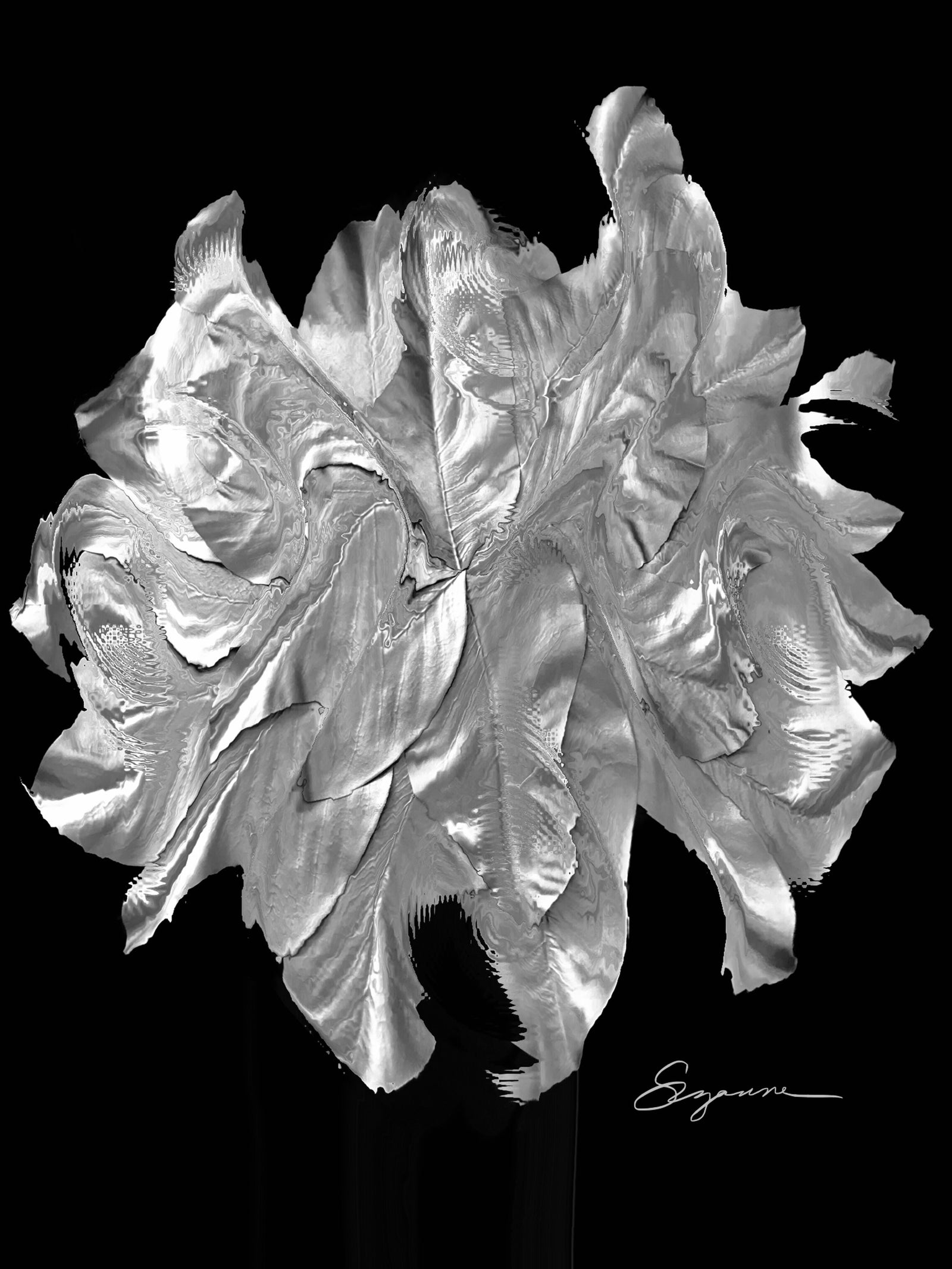 a black and white photo of a flower