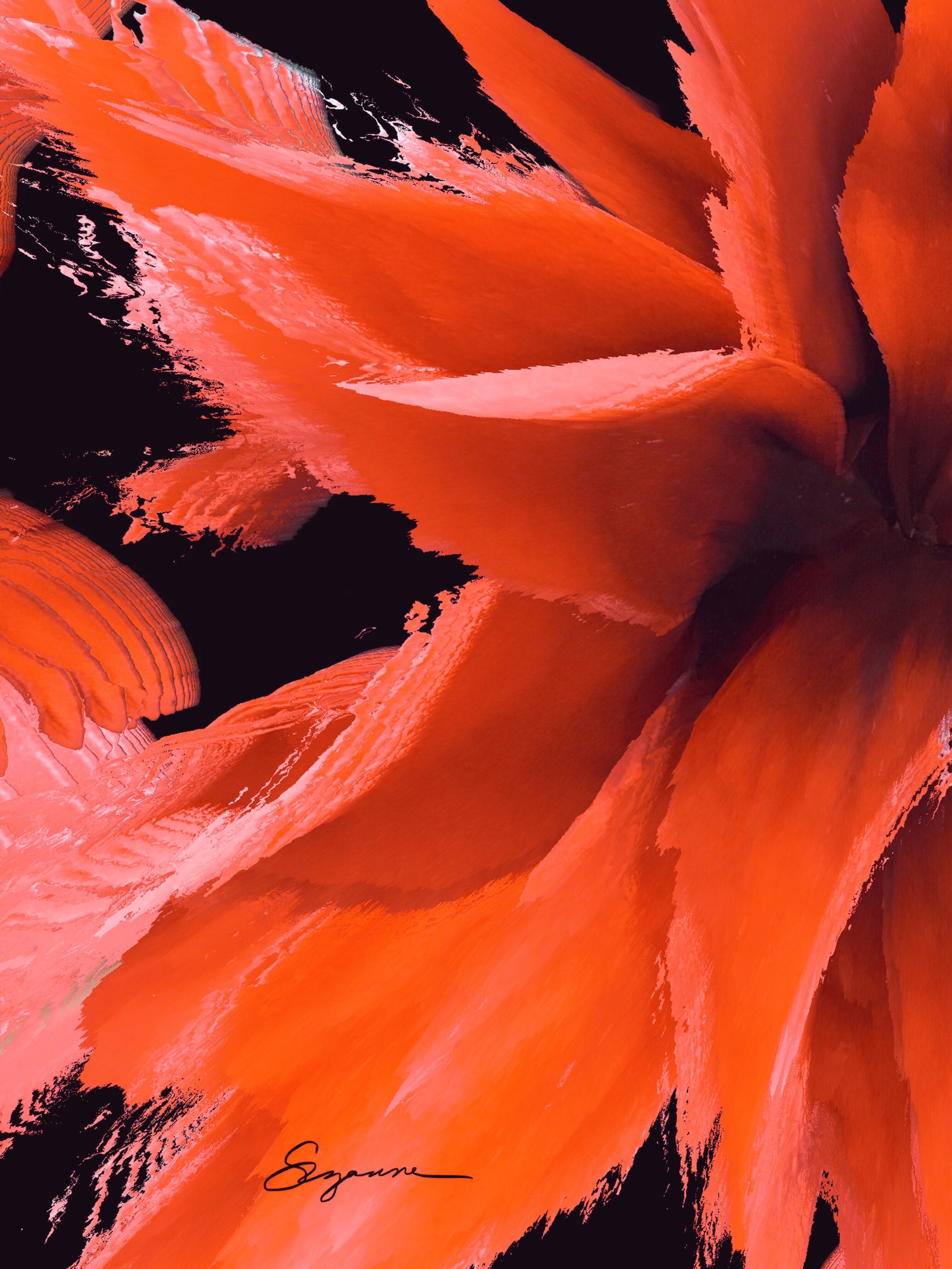 a close up of an orange flower on a black background