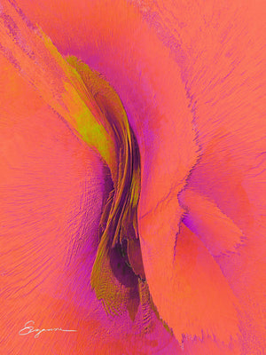 a close up of a pink flower with a yellow center