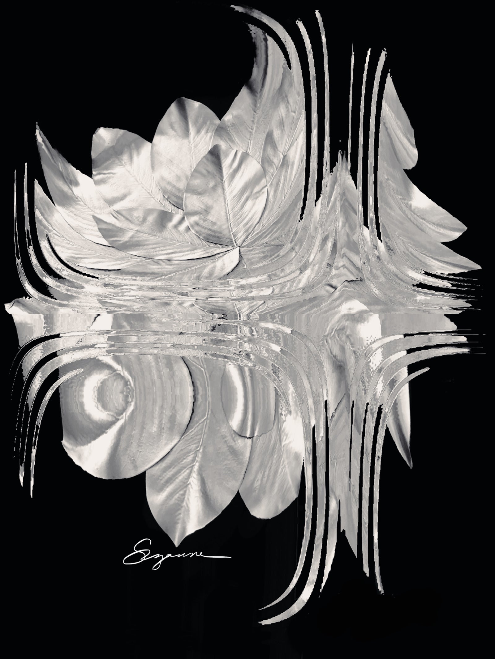 a black and white photo of a flower