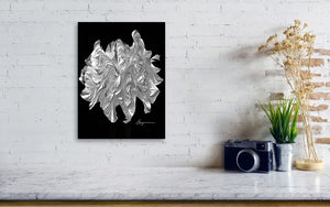 a black and white photo of a flower on a wall