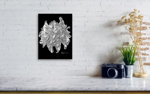 a black and white photo of a flower on a wall